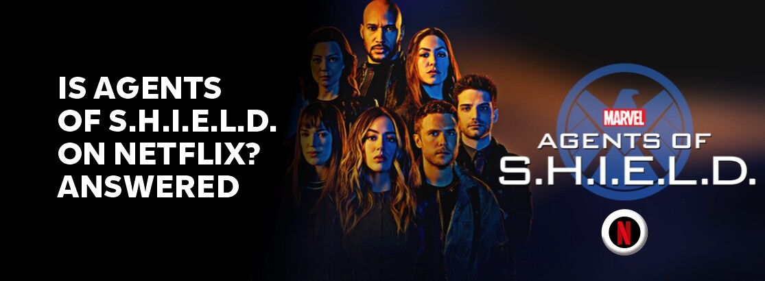 Agents of discount the shield netflix